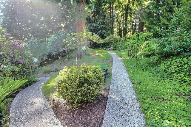 19640 SE 29th St, Sammamish, WA 98075 - view of yard