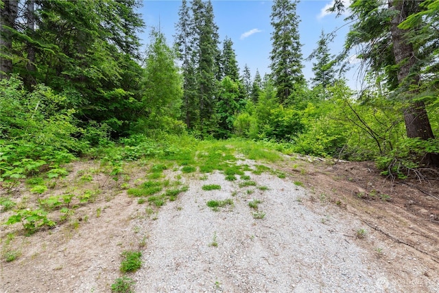 0 Pine Cone Dr, Leavenworth, WA 98826