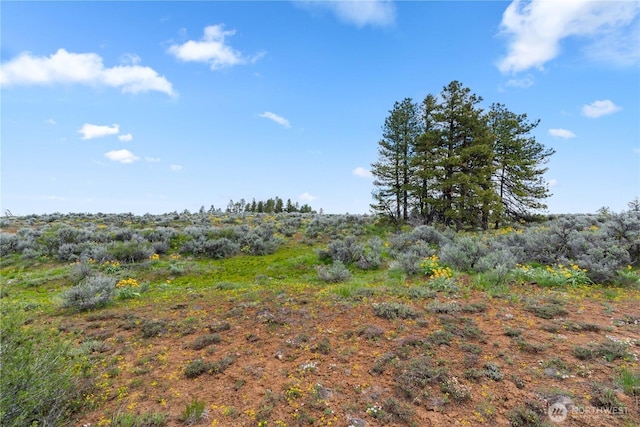 207 Falcon Ridge Rd, East Wenatchee, WA 98802