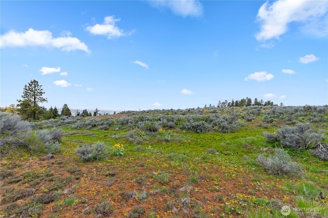 207 Falcon Ridge Rd, East Wenatchee, WA 98802