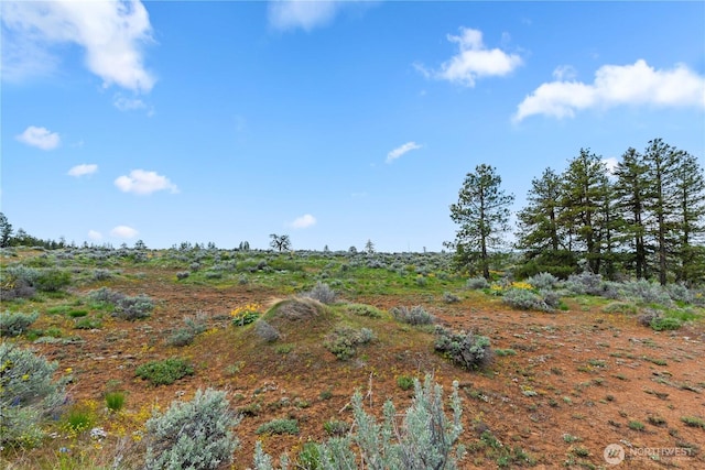 207 Falcon Ridge Rd, East Wenatchee, WA 98802