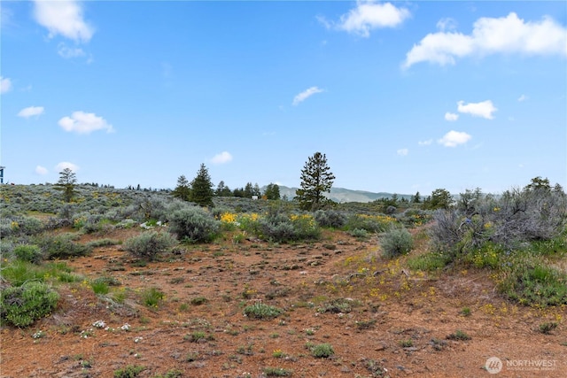 207 Falcon Ridge Rd, East Wenatchee, WA 98802