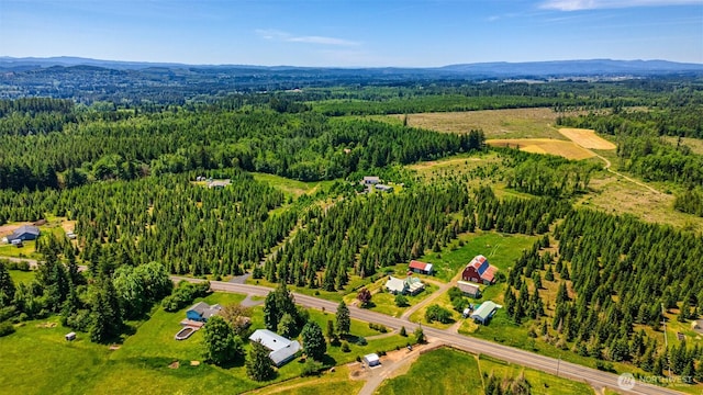 300 Brim Rd, Onalaska, WA 98570 - drone / aerial view of a heavily wooded area and a mountain backdrop