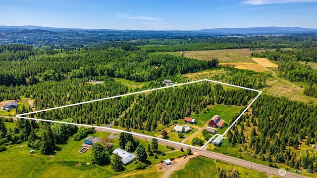 300 Brim Rd, Onalaska, WA 98570 - aerial view of property's location with a forest, property boundaries highlighted, and mountains