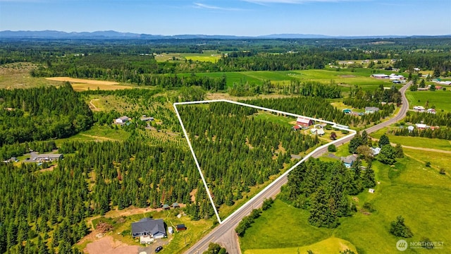 300 Brim Rd, Onalaska, WA 98570 - aerial view of property and surrounding area with property parcel outlined, a heavily wooded area, and mountains