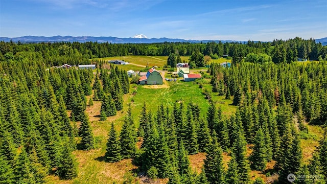 300 Brim Rd, Onalaska, WA 98570 - aerial view of property and surrounding area with a forest and mountains