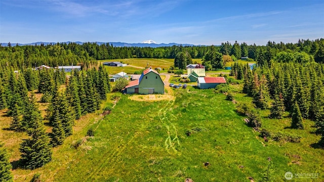 300 Brim Rd, Onalaska, WA 98570 - view of subject property featuring a mountainous background and a heavily wooded area