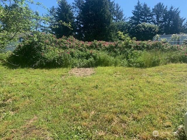 0 Ash Pl, Ocean Park, WA 98640