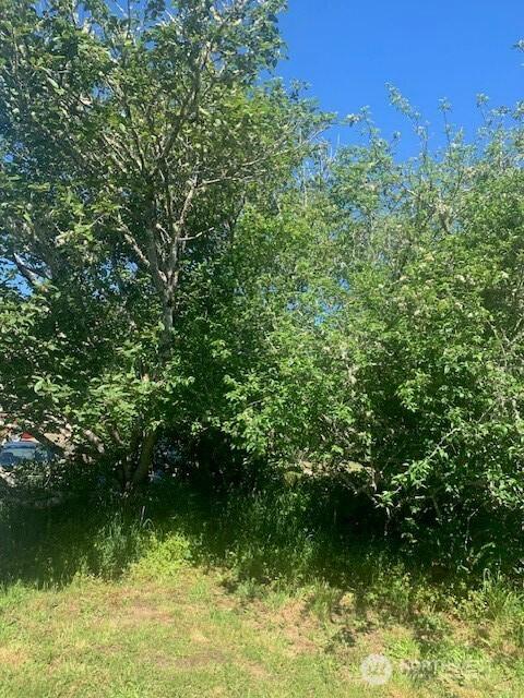 0 Ash Pl, Ocean Park, WA 98640