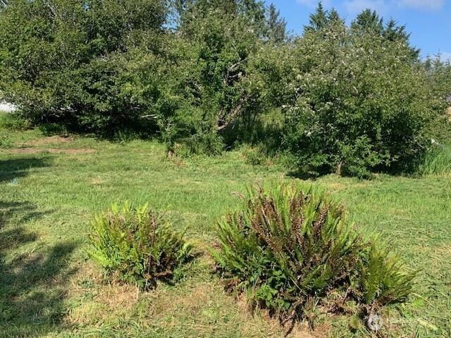 0 Ash Pl, Ocean Park, WA 98640
