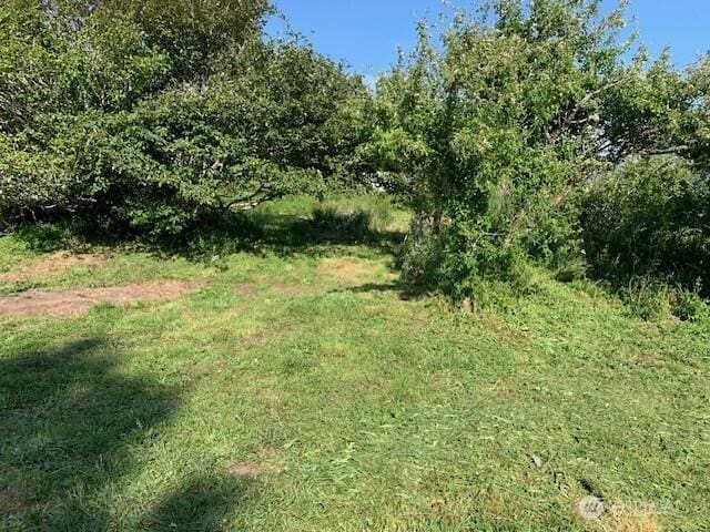 0 Ash Pl, Ocean Park, WA 98640