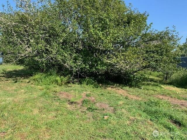 0 Ash Pl, Ocean Park, WA 98640