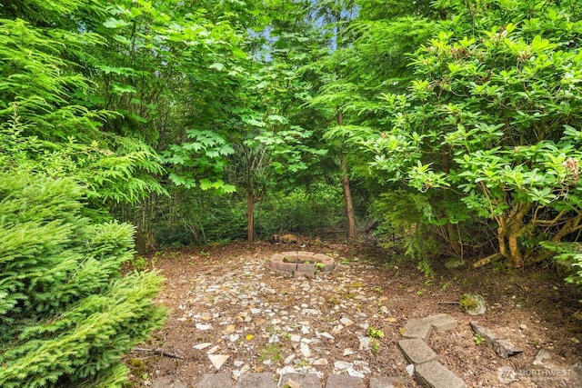 23611 Friar Creek Rd, Monroe, WA 98272 - view of local wilderness