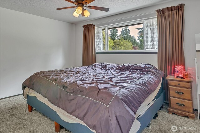 14309 11th Ave S, Tacoma, WA 98444 - photo 15