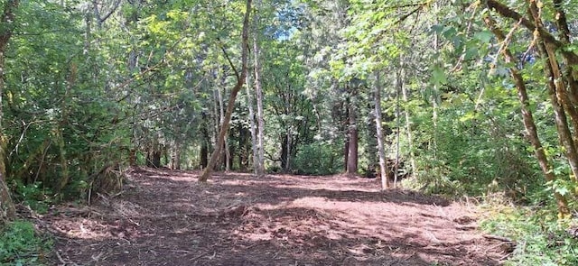 210 Vermillion Rd, Chehalis, WA 98532
