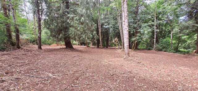 210 Vermillion Rd, Chehalis, WA 98532 - photo 13
