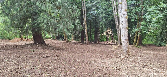 210 Vermillion Rd, Chehalis, WA 98532 - photo 3