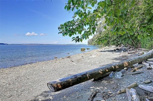 478 Eagle Crest Rd, Camano Island, WA 98282 - water view