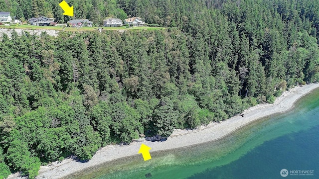 478 Eagle Crest Rd, Camano Island, WA 98282 - view of property location featuring a heavily wooded area and a large body of water