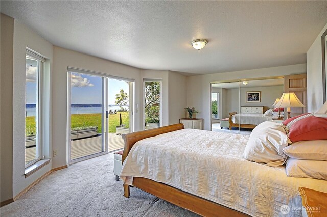478 Eagle Crest Rd, Camano Island, WA 98282 - bedroom with access to exterior, light carpet, a water view, baseboards, and a textured ceiling