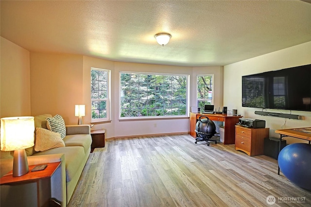 478 Eagle Crest Rd, Camano Island, WA 98282 - home office featuring light wood-style floors, a textured ceiling, and baseboards