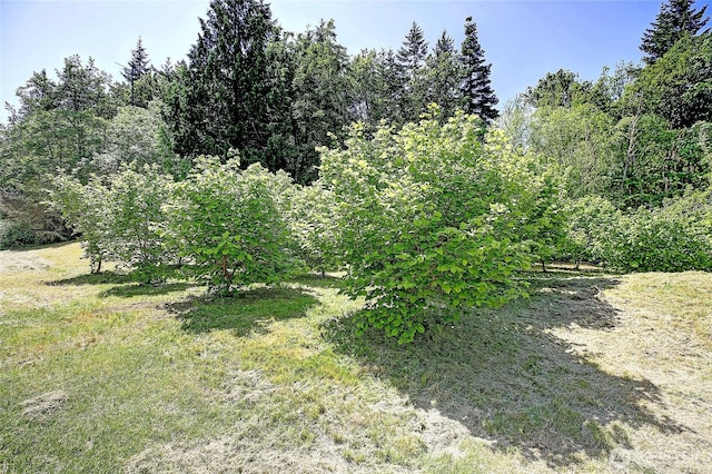478 Eagle Crest Rd, Camano Island, WA 98282 - view of yard