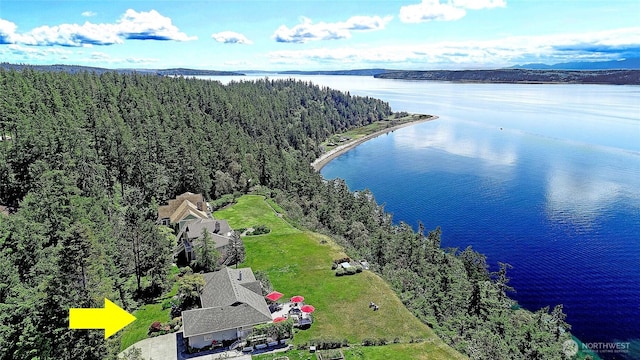 478 Eagle Crest Rd, Camano Island, WA 98282 - drone / aerial view of a large body of water and a forest