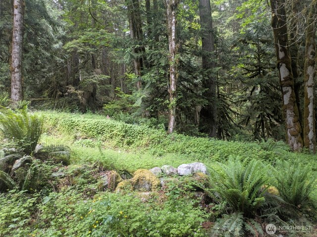 64315 Lookout Mountain Loop Unit 1D170, Marblemount, WA 98267