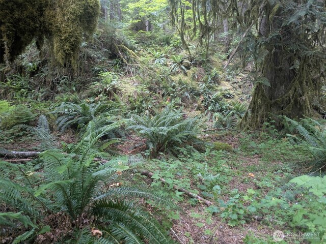 64315 Lookout Mountain Loop Unit 1D170, Marblemount, WA 98267