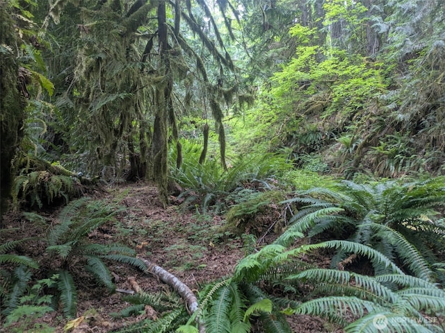 64315 Lookout Mountain Loop Unit 1D170, Marblemount, WA 98267
