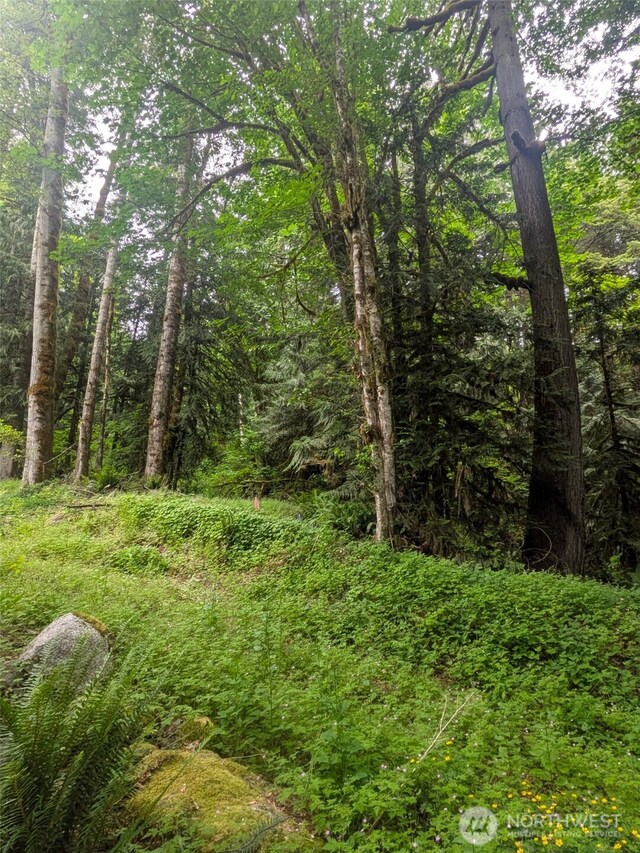 64315 Lookout Mountain Loop Unit 1D170, Marblemount, WA 98267