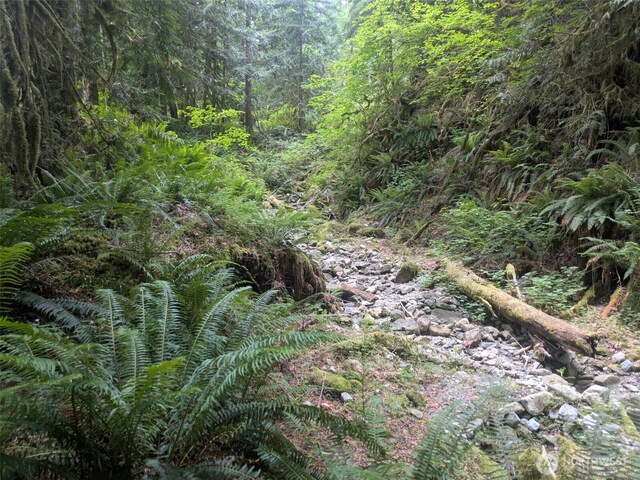 64315 Lookout Mountain Loop Unit 1D170, Marblemount, WA 98267