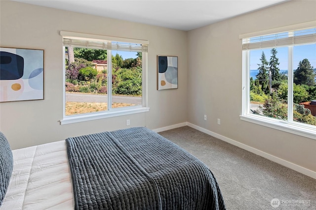 26442 Gravity Ave NE, Kingston, WA 98346 - photo 23
