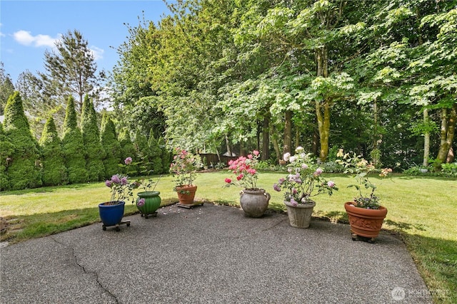 3139 Cedrona Dr NW, Olympia, WA 98502 - photo 32