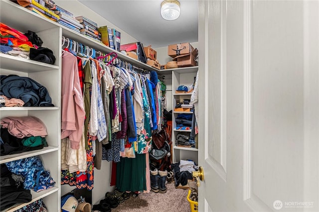 2509 Boston Ave NW, East Wenatchee, WA 98802 - walk in closet featuring carpet flooring