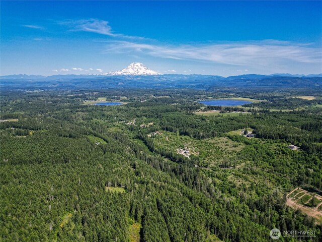 39507 18th Ave E, Roy, WA 98580