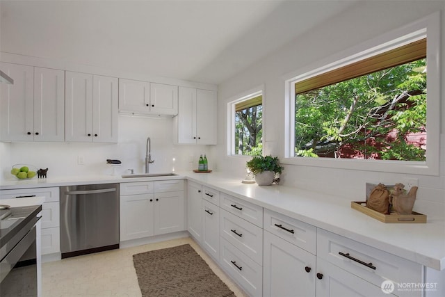 9030 6th Ave NW, Seattle, WA 98117 - kitchen featuring dishwasher, a sink, white cabinetry, and light countertops