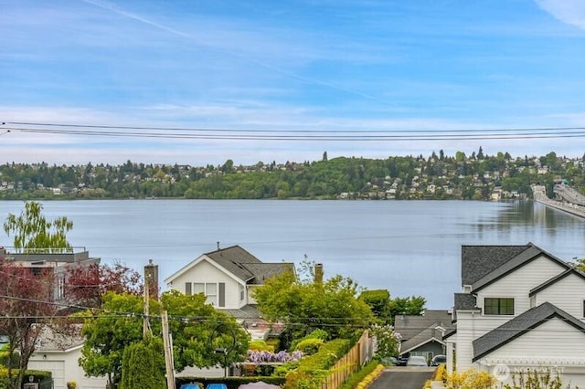 2423 61st Ave SE, Mercer Island, WA 98040 - photo 35