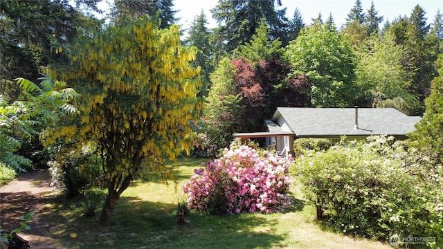 12718 162nd Ave NW, Gig Harbor, WA 98329 - photo 32