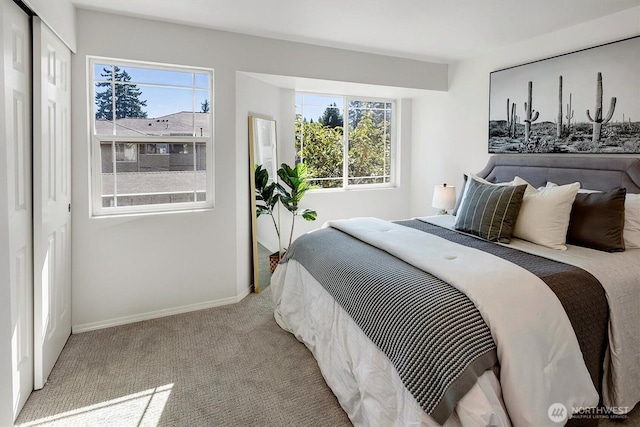 6128 202nd St SW Unit 101, Lynnwood, WA 98036 - bedroom with carpet floors and multiple windows