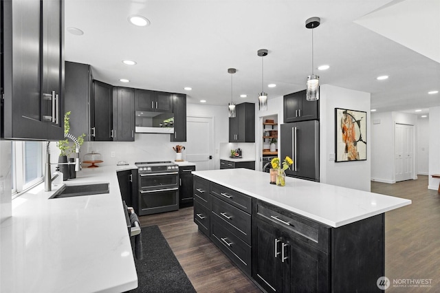 16100 SE 113th Pl, Renton, WA 98059 - kitchen featuring stainless steel appliances, dark cabinets, a sink, dark wood-type flooring, and recessed lighting