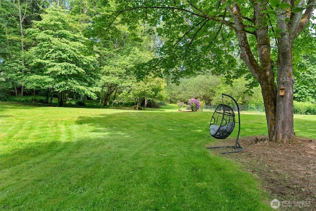 16100 SE 113th Pl, Renton, WA 98059 - view of grassy yard