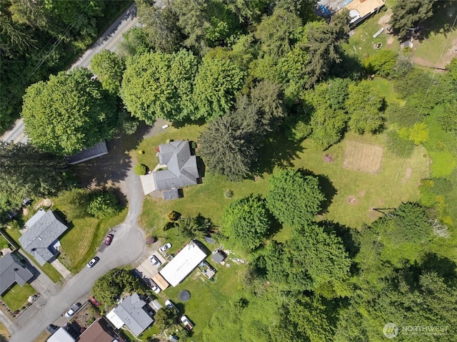 16100 SE 113th Pl, Renton, WA 98059 - aerial view of property and surrounding area