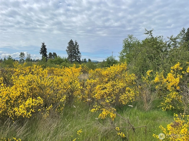 111 Killion Rd SE, Yelm, WA 98597