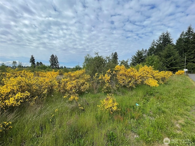 111 Killion Rd SE, Yelm, WA 98597