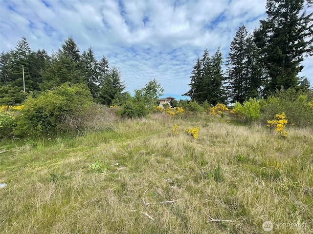 111 Killion Rd SE, Yelm, WA 98597
