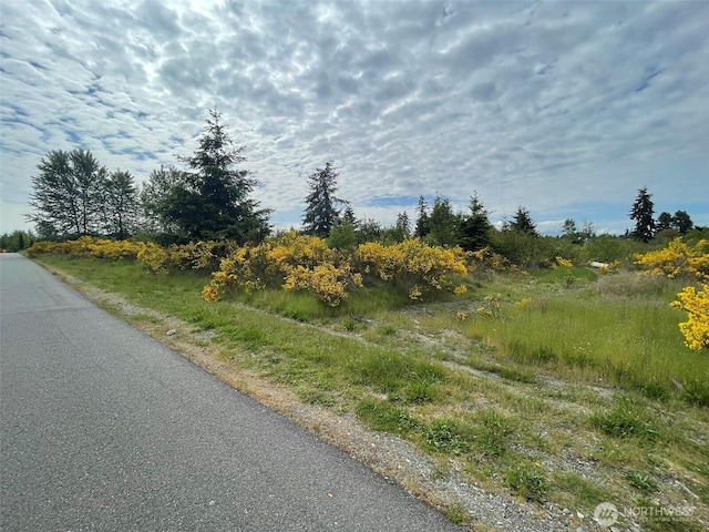111 Killion Rd SE, Yelm, WA 98597