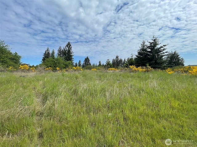 111 Killion Rd SE, Yelm, WA 98597