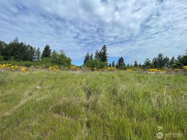 111 Killion Rd SE, Yelm, WA 98597
