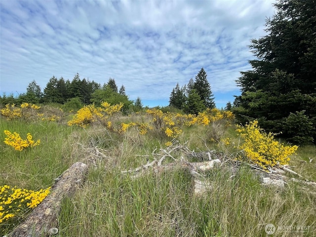 111 Killion Rd SE, Yelm, WA 98597